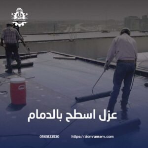 خبراء عزل اسطح